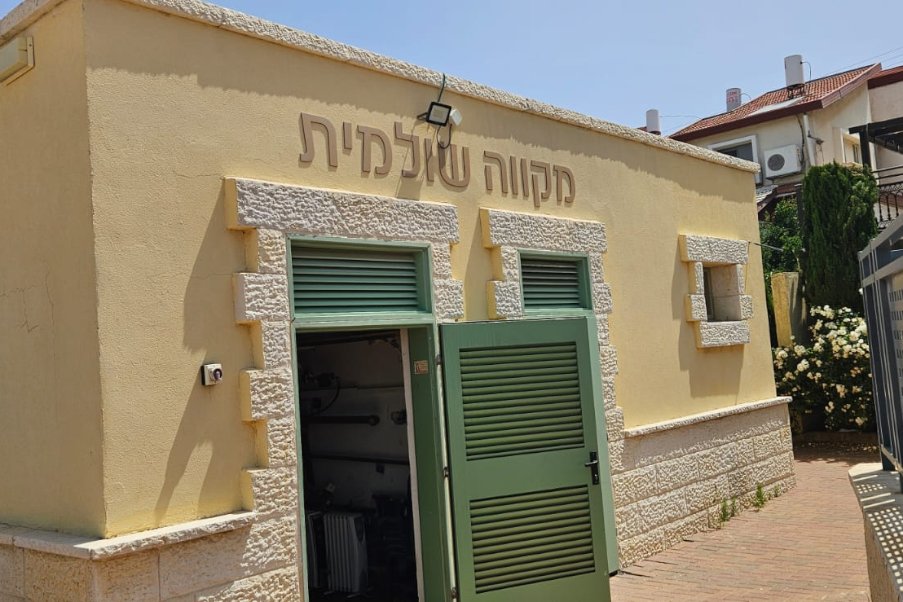 חשמונאים image