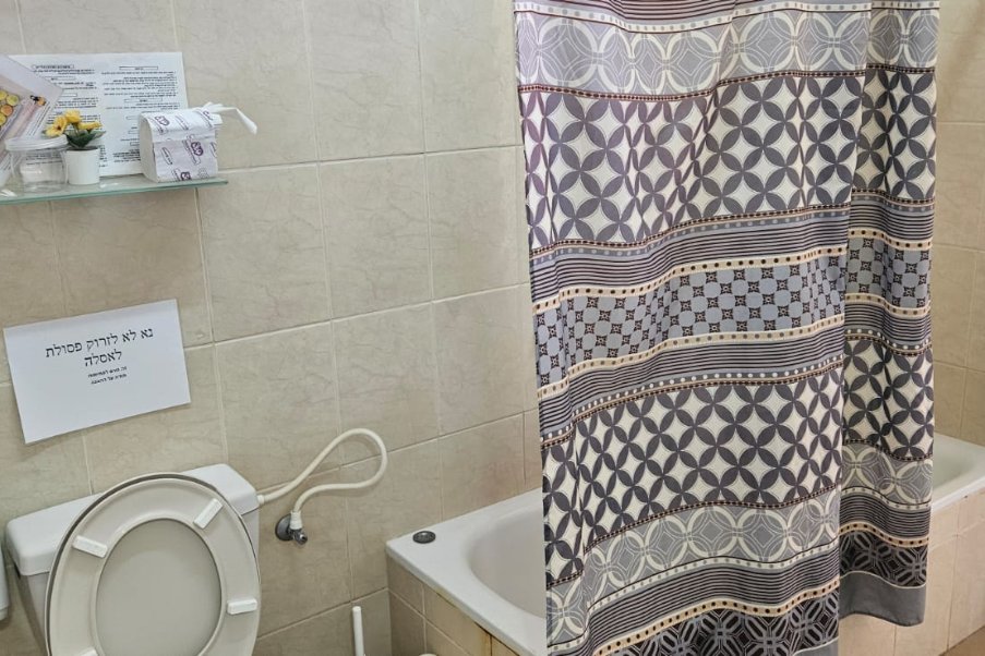 חשמונאים image