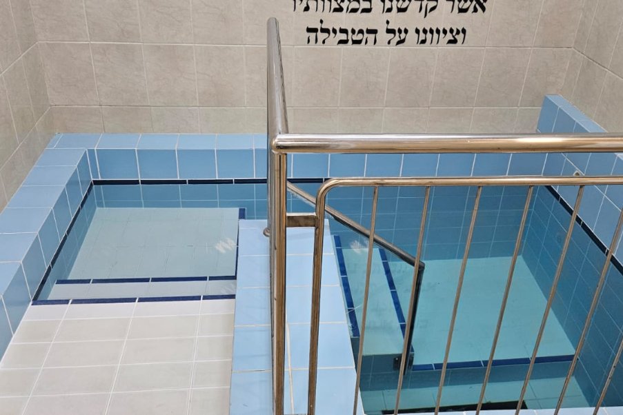 חשמונאים image