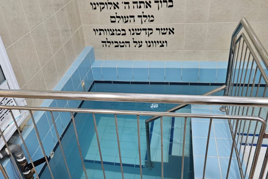 חשמונאים image